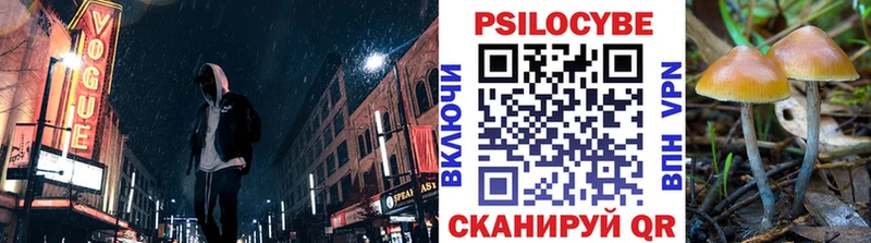 Псилоцибиновые грибы Magic Shrooms  купить   Гусиноозёрск 